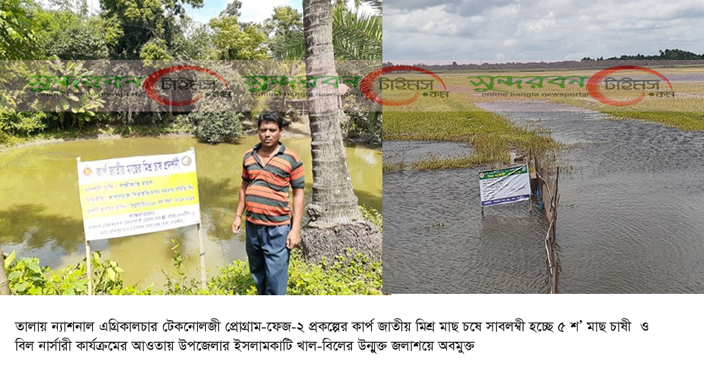 তালায় কার্প জাতীয় মিশ্র মাছ চাষে সাবলম্বী হচ্ছে ৫শ মাছ চাষী