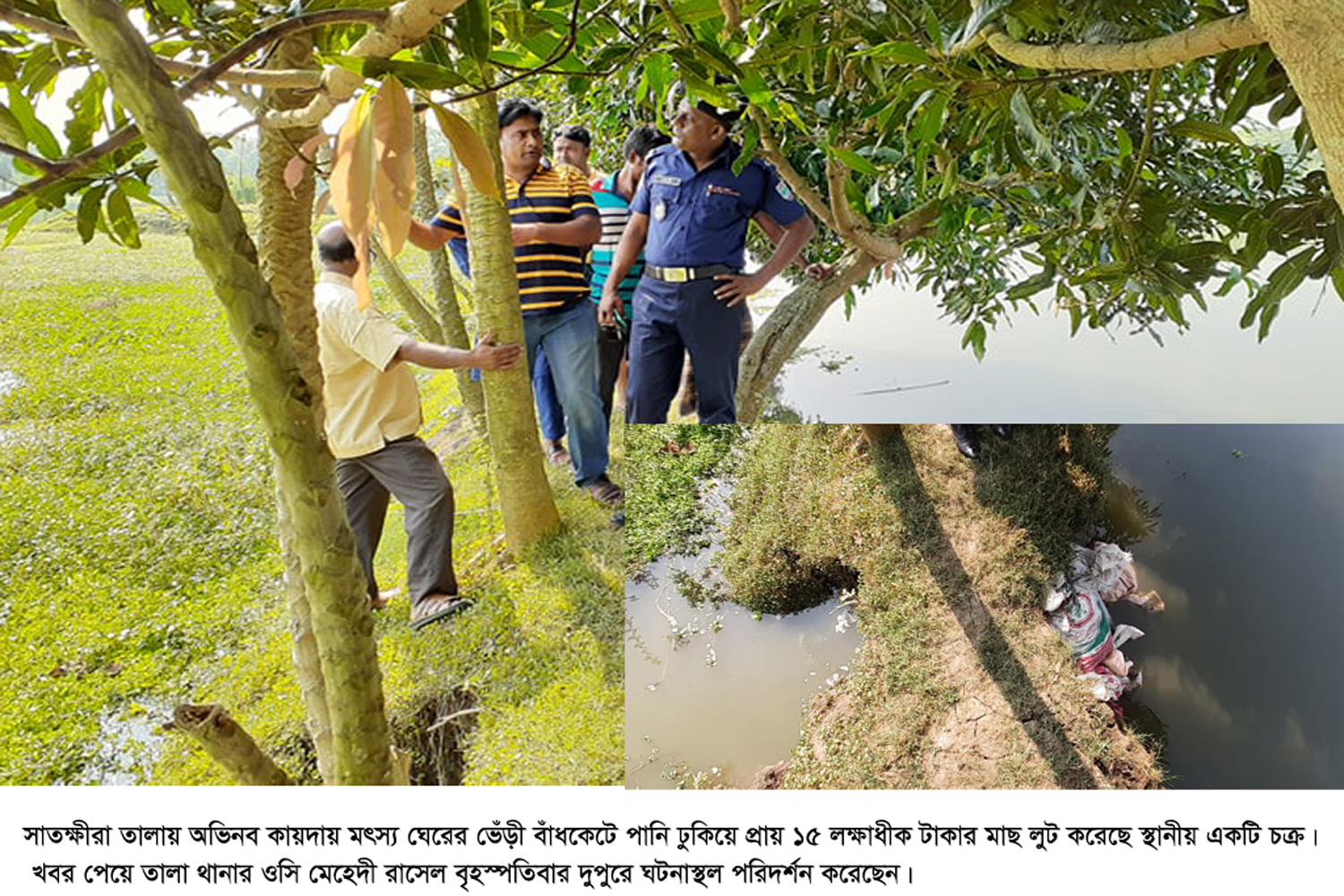 তালায় অভিনব কায়দায় ঘেরের মাছ লুট