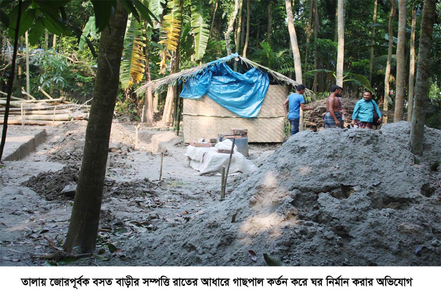 তালায় জোরপূর্বক বসত বাড়ীর সম্পত্তি রাতের আধারে গাছপাল কর্তন করে ঘর নির্মান করার অভিযোগ