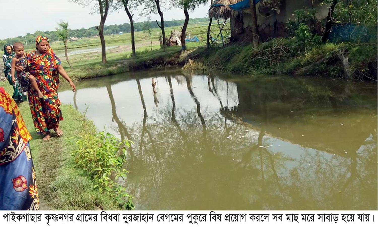 পাইকগাছায় বিধবার পুকুরে বিষ প্রয়োগ : ৫০ হাজার টাকার মাছ মরে সাবাড়