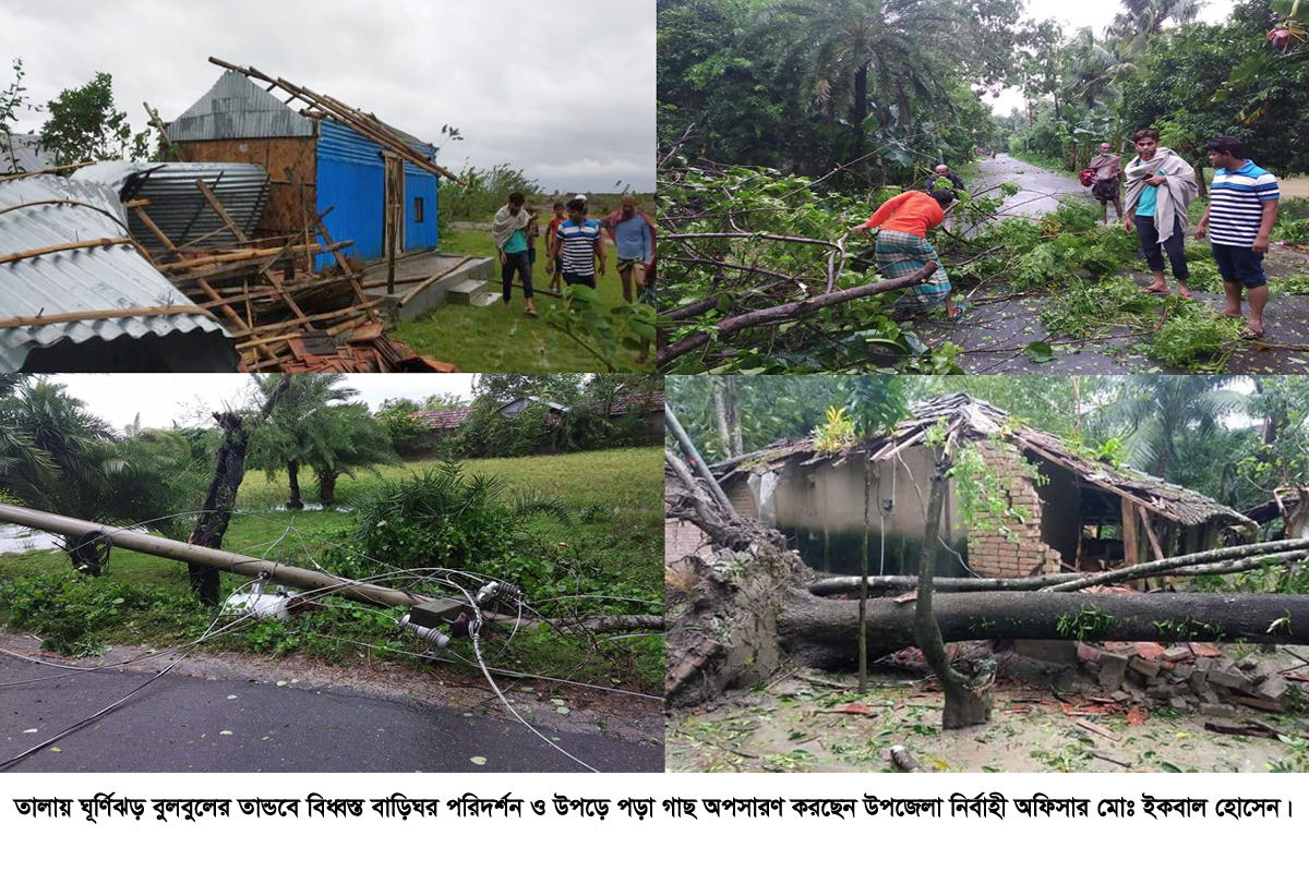 তালায় ঘূর্ণিঝড় বুলবুলের তান্ডবে প্রায় ৫ হাজার বাড়িঘর বিধ্বস্ত: উপড়ে পড়েছে হাজার হাজার গাছ