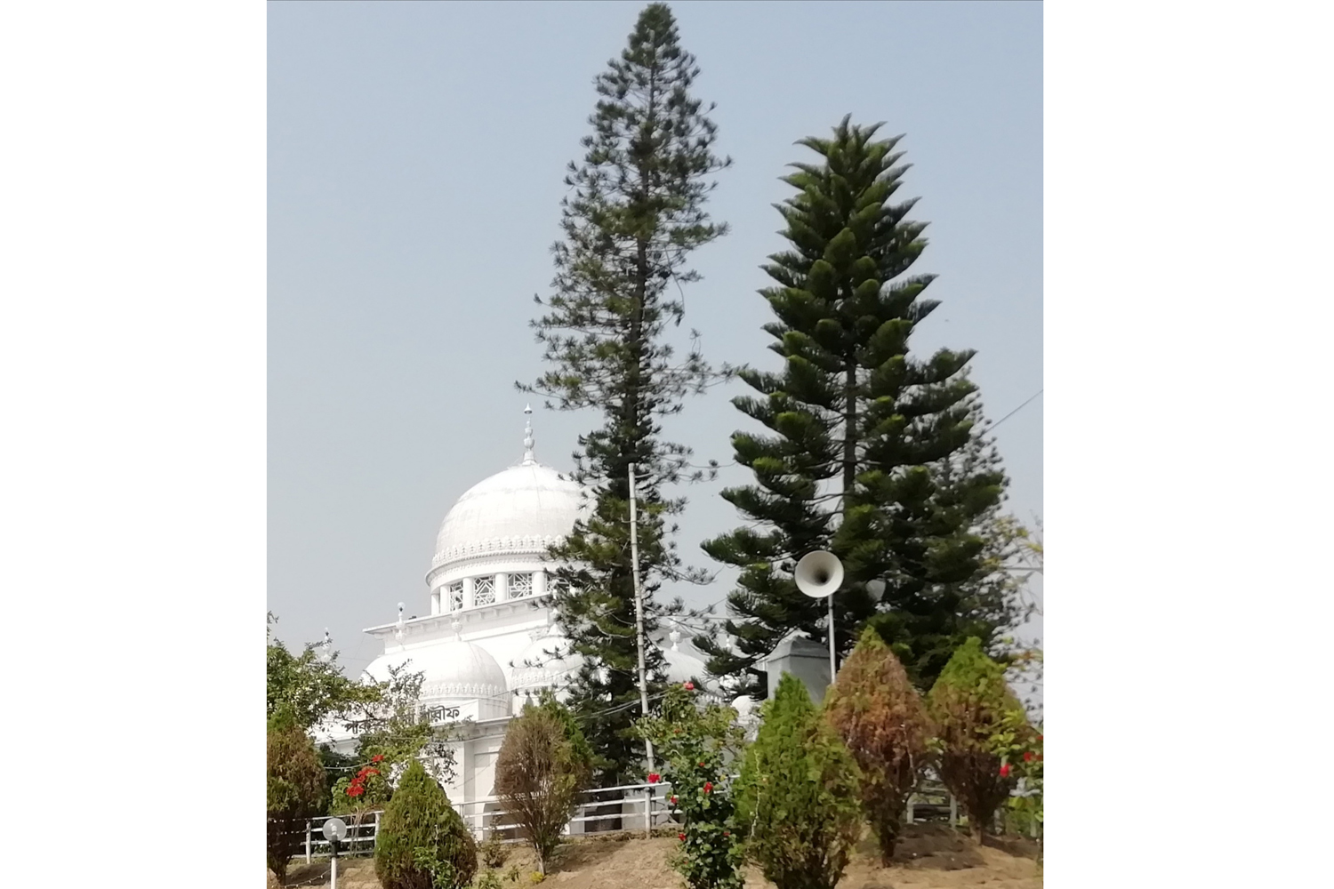 নলতা শরীফে পীর কেবলার ১৪৬ তম জন্মবার্ষিকী পালন শুরু