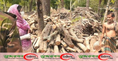 আশাশুনিতে ইটের পাঁজাসহ ভ্রাম্যমান আদালতে ২ হাজার ৩শ টাকা জরিমানা