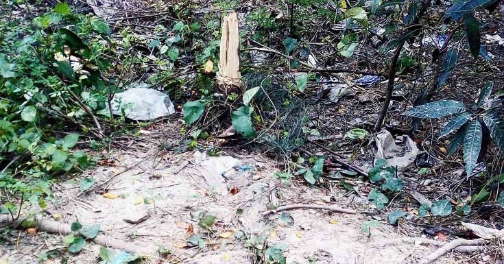 ডুমুরিয়া ৩২বছর ধরে ভোগদখলকৃত জমি জোরপূর্বক দখল ও গাছ কেটে নেয়ার অভিযোগ