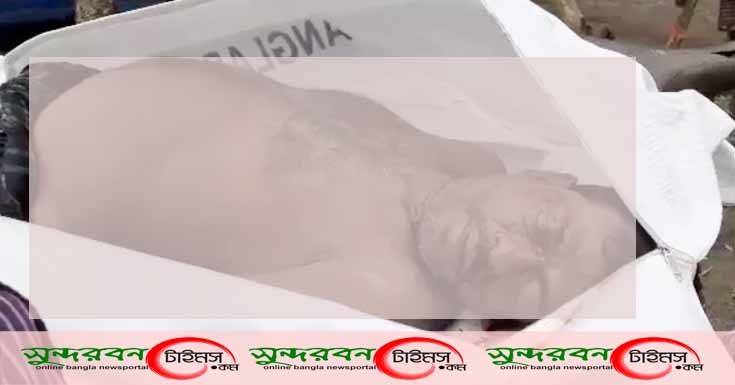 পাটকেলঘাটার তৈলকূপী বিল থেকে এক কৃষকের রক্তাক্ত মরদেহ উদ্ধার