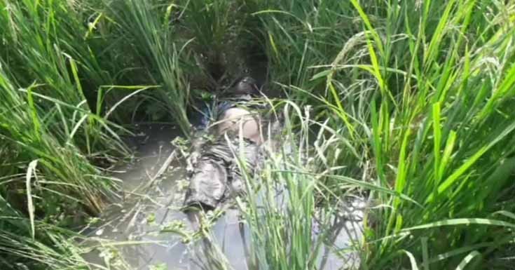 সাতক্ষীরায় ধান ক্ষেত থেকে স্কুল ছাত্রের মরদেহ উদ্ধার, নারীসহ আটক ৪