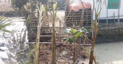 আঁঠারমাইলে সরকারী জায়গা দিয়ে চলাচলের রাস্তা বন্দ করে দেয়ায় ৩টি পরিবার গৃহবন্দী