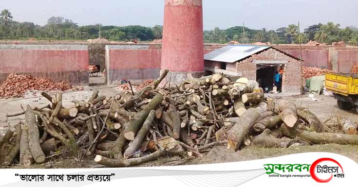 কেশবপুরে ইটভাটায় প্রকাশ্যে পোড়ানো হচ্ছে কাঠ