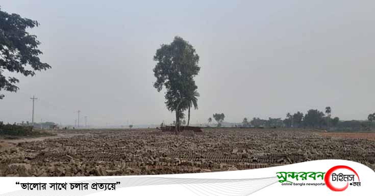 মণিরামপুরে সরদার ব্রিকস গুড়িয়ে দিলো পরিবেশ অধিদপ্তর