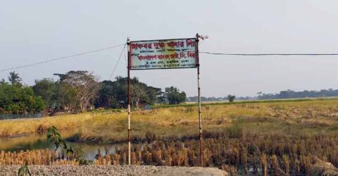 পাইকগাছায় দুগ্ধ খামার কাজে বাঁধা প্রদান ও হয়রানীর অভিযোগ