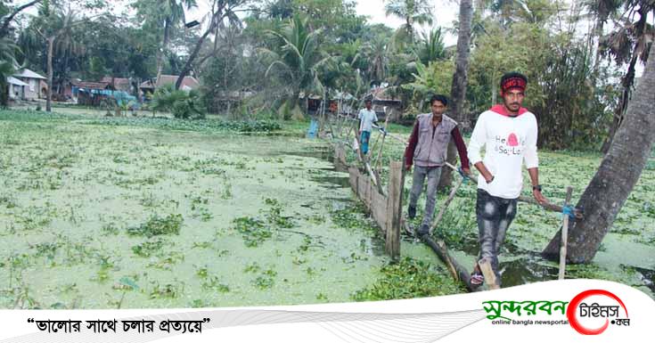 কেশবপুরে প্লাবিত অর্ধশত বাড়িঘর, অনিশ্চিত ৪’শ হেক্টর বোরো আবাদ