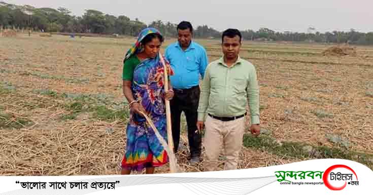 পাইকগাছায় চলতি মৌসুমে ১১শ’ হেক্টর জমিতে তরমুজের আবাদ