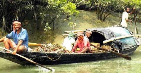 ঈদ খুব ভালো কাটছেনা সুন্দরবনের বনজীবিদের