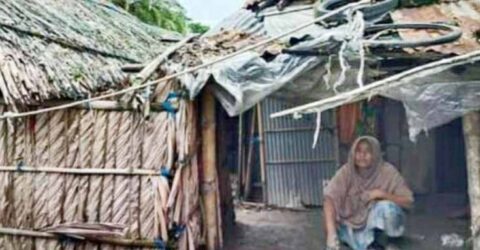 পলিথিনে মোড়ানো ঘরে বসবাস, মাথা গোঁজার ঠাঁই চান সালমার পরিবার