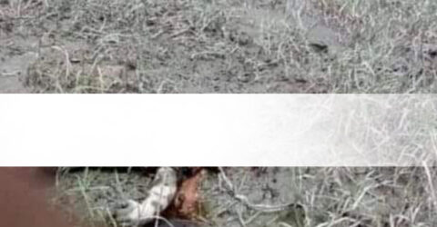 তালায় কপোতাক্ষ নদের চর থেকে অজ্ঞাত নবজাতকের লাশ উদ্ধার
