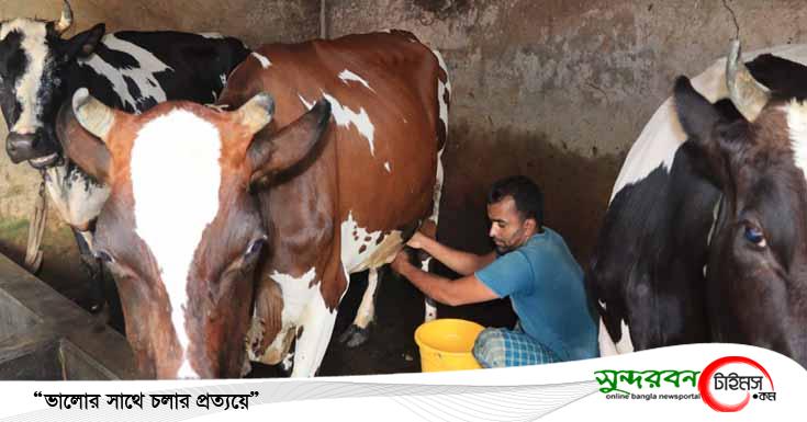 তালার দুগ্ধ শিল্প সুনাম ছড়িয়েছে সারাদেশে