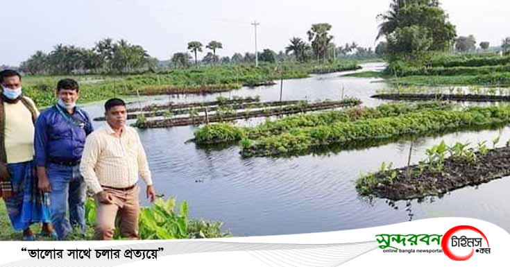 ডুমুরিয়ায় জনপ্রিয় হচ্ছে ভাসমান বেডে সবজি ও মসল্লা চাষ