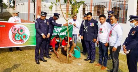 বিজয়ের ৫০বছর পূর্তিতে সাতক্ষীরায় ওয়ালটন প্লাজার উদ্যোগে ৫০টি গাছের চারা রোপন