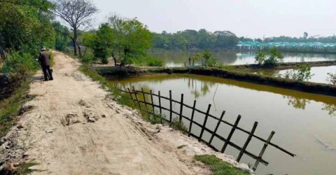 ডুমুরিয়ার বাদুরগাছা-মাদারতলা দেড় কিলোমিটার রাস্তা চলাচলে অনুপযোগী, সংস্কারের দাবি
