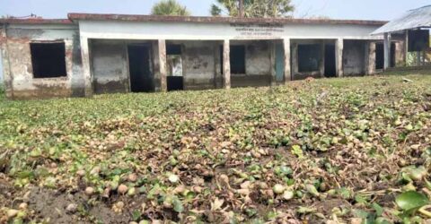 তালা উপজেলার সম্মনডাঙা প্রাথমিক বিদ্যালয়ের শ্রেণীকক্ষ বছরের ৯ মাস থাকে পানি ভর্তি