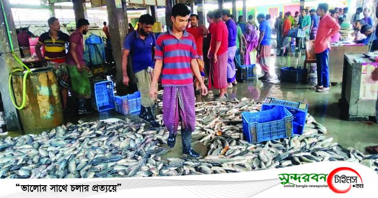 কেশবপুরের মাছ রপ্তানি করে এবার ৮৫০ কোটি আয়ের সম্ভাবনা