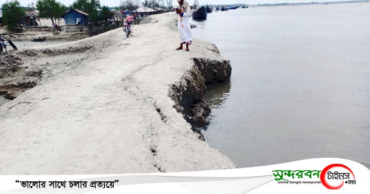 আশাশুনির প্রতাপনগরে কপোতাক্ষ নদের বেড়িবাঁধে ভাঙন: আতঙ্গে এলাকাবাসী