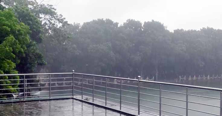 সাতক্ষীরায় ‘ডানা’র প্রভাবে বৃষ্টি শুরু, নদীতে পানি বৃদ্ধি